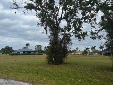 Welcome to Your Future Home in Burnt Store Lakes - A Slice of - photo 17