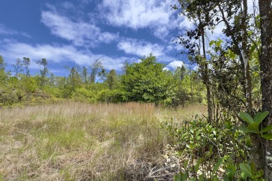 Previously partially ripped and leveled, this vacant corner lot - photo 17