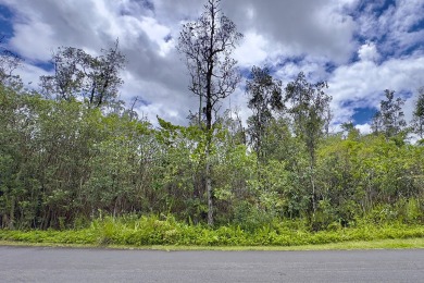 Previously partially ripped and leveled, this vacant corner lot - photo 23