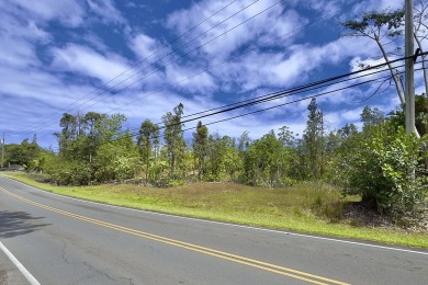 Previously partially ripped and leveled, this vacant corner lot - photo 29