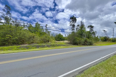 Previously partially ripped and leveled, this vacant corner lot - photo 30