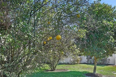Beautiful updated CBS 2 Bedroom, 2 Bathroom 1671 Sq Ft, Golf - photo 42
