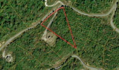 2.24 Acre Norris Lake View Lot - photo 23
