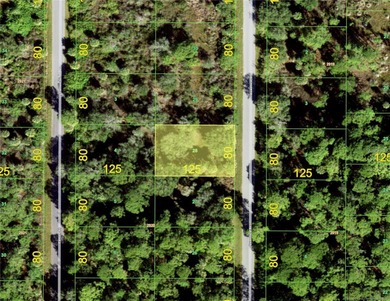 Port Charlotte Waterway Area Lot For Sale in Port Charlotte Florida