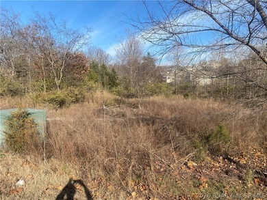 Outstanding 9 lots development opportunity in Country Club Cove - photo 13