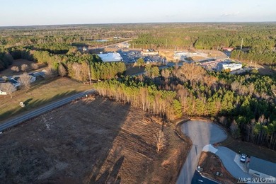 In the heart of Lake Gaston's most coveted commercial corridor - photo 3