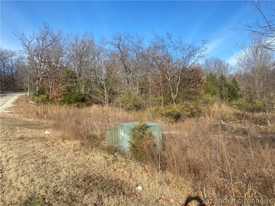 Outstanding 9 lots development opportunity in Country Club Cove - photo 14
