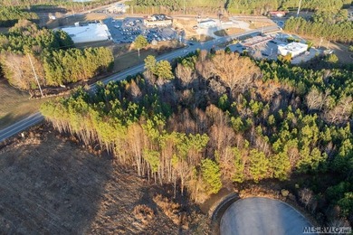 In the heart of Lake Gaston's most coveted commercial corridor - photo 5