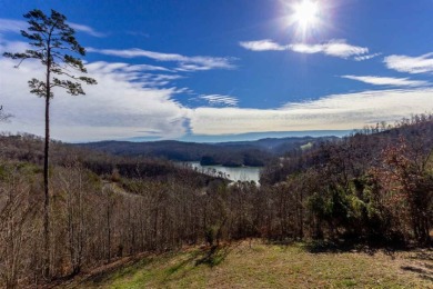 2.24 Acre Norris Lake View Lot - photo 4