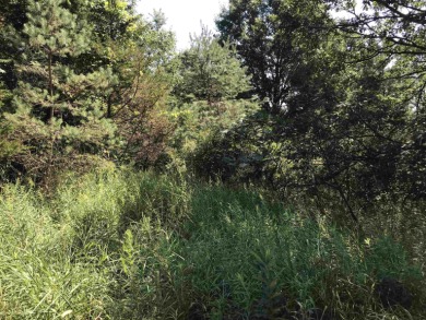 Hill Lake - Adams County Lot For Sale in Oxford Wisconsin