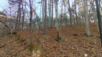 Discover the perfect opportunity to own a premium homesite in - photo 11