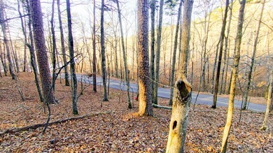 Discover the perfect opportunity to own a premium homesite in - photo 12
