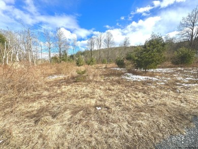 (private lake, pond, creek) Acreage For Sale in Bearsville New York