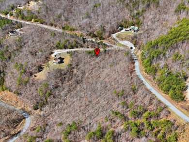 2.24 Acre Norris Lake View Lot - photo 11