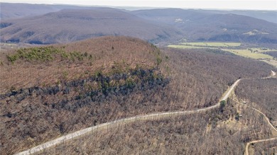 Welcome to the crown jewel of Arkansas-Boxley Valley in the - photo 10