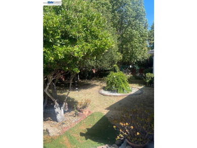 Charming home from yesteryear on a large lot in great location - photo 3