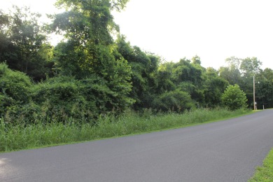 Bull Shoals Lake Commercial For Sale in Bull Shoals Arkansas