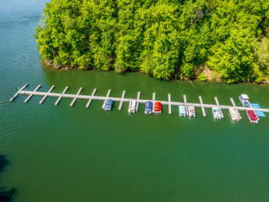 2.24 Acre Norris Lake View Lot - photo 29