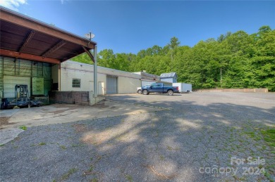 (private lake, pond, coastal) Commercial For Sale in Spruce Pine North Carolina