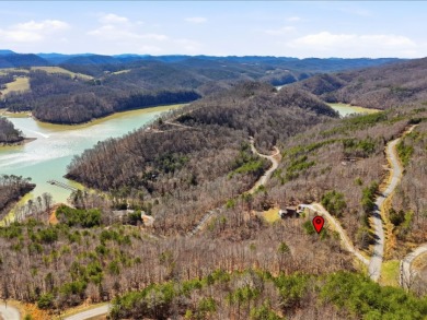 2.24 Acre Norris Lake View Lot - photo 14