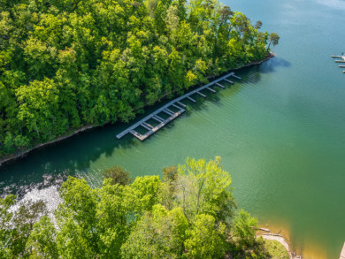 2.24 Acre Norris Lake View Lot - photo 27