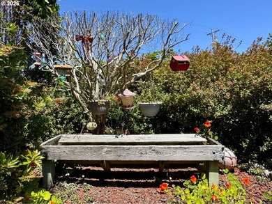 OCEAN PEAK, WALK-TO-THE-BEACH Coastal Retreat on .19 Acres - photo 41
