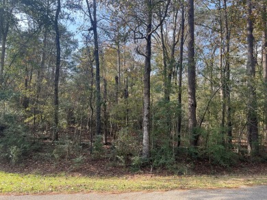 Lake Lot For Sale in Lumberton, Mississippi