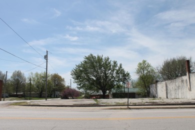 Excellent location for any type of business, in Downtown - Lake Commercial For Sale in Weaubleau, Missouri