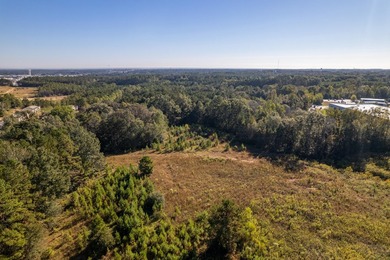 22.65+/- acres with 1,000+/- feet of frontage along Lamar - photo 6