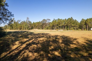 22.65+/- acres with 1,000+/- feet of frontage along Lamar - photo 8