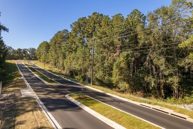 22.65+/- acres with 1,000+/- feet of frontage along Lamar - photo 9