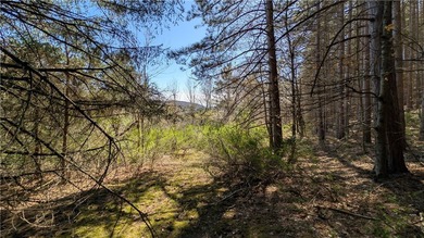 This property offers an opportunity to set up a primary - photo 31