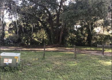 Lake Lot For Sale in Lake Panasoffkee, Florida