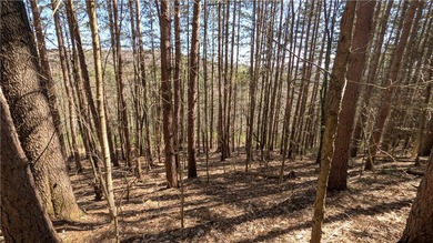 This property offers an opportunity to set up a primary - photo 34