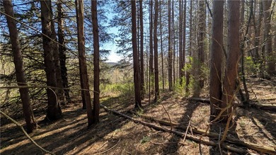 This property offers an opportunity to set up a primary - photo 36