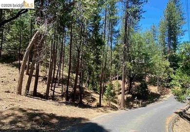 Build your dream cabin just minutes from the main beach and - photo 1