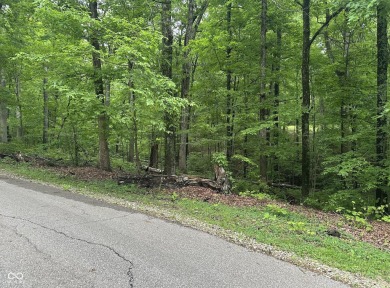Lake Lot Sale Pending in Nineveh, Indiana