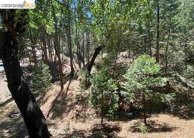 Build your dream cabin just minutes from the main beach and - photo 2