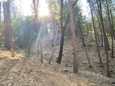 Build your dream cabin just minutes from the main beach and - photo 3