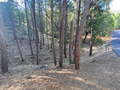 Build your dream cabin just minutes from the main beach and - photo 4