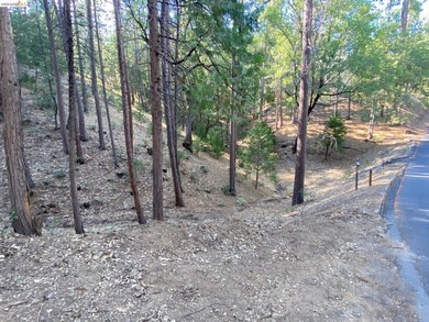 Build your dream cabin just minutes from the main beach and - photo 5