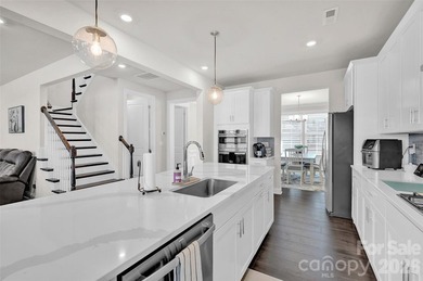 Lake Norman Waterfront at an exceptional value with 100' of Lake - photo 9