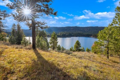 Blackhawk Lake Acreage Sale Pending in Mccall Idaho