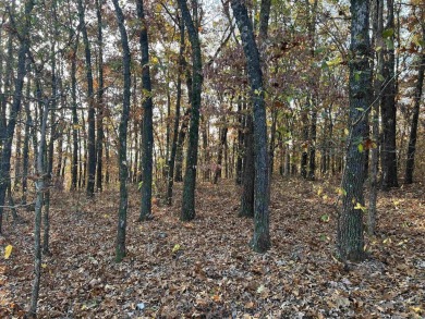 Lake Acreage For Sale in Harrison, Arkansas