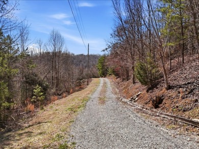 2.24 Acre Norris Lake View Lot - photo 9