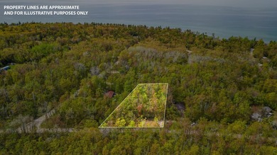 Rare opportunity to own three beautifully wooded lots in the - photo 1
