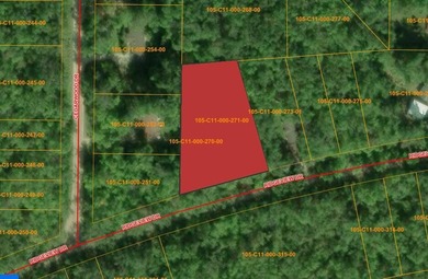 Rare opportunity to own three beautifully wooded lots in the - photo 2