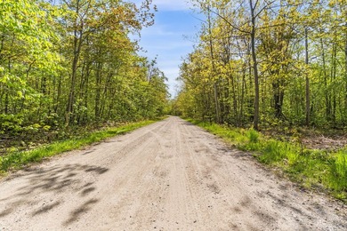 Rare opportunity to own three beautifully wooded lots in the - photo 6