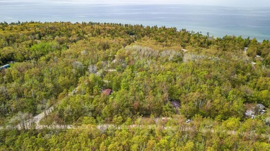 Rare opportunity to own three beautifully wooded lots in the - photo 7