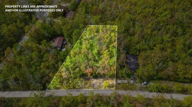 Rare opportunity to own three beautifully wooded lots in the - photo 8